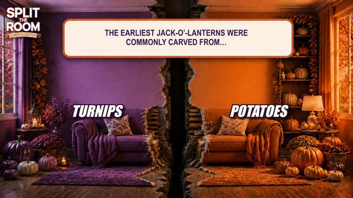 Split the Room - Pumpkin Edition image number null